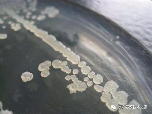 QQ浏览器截�?0190909180524.jpg QQ浏览器截�?0190909180524.jpg