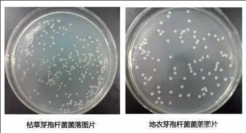 QQ浏览器截�?0190909180605.jpg QQ浏览器截�?0190909180605.jpg