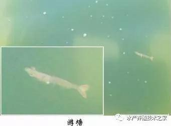 QQ�?0191011110210.jpg