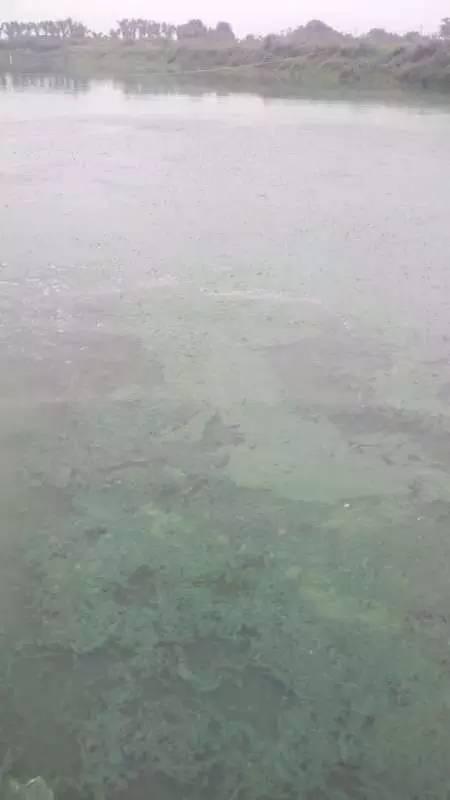 ޷